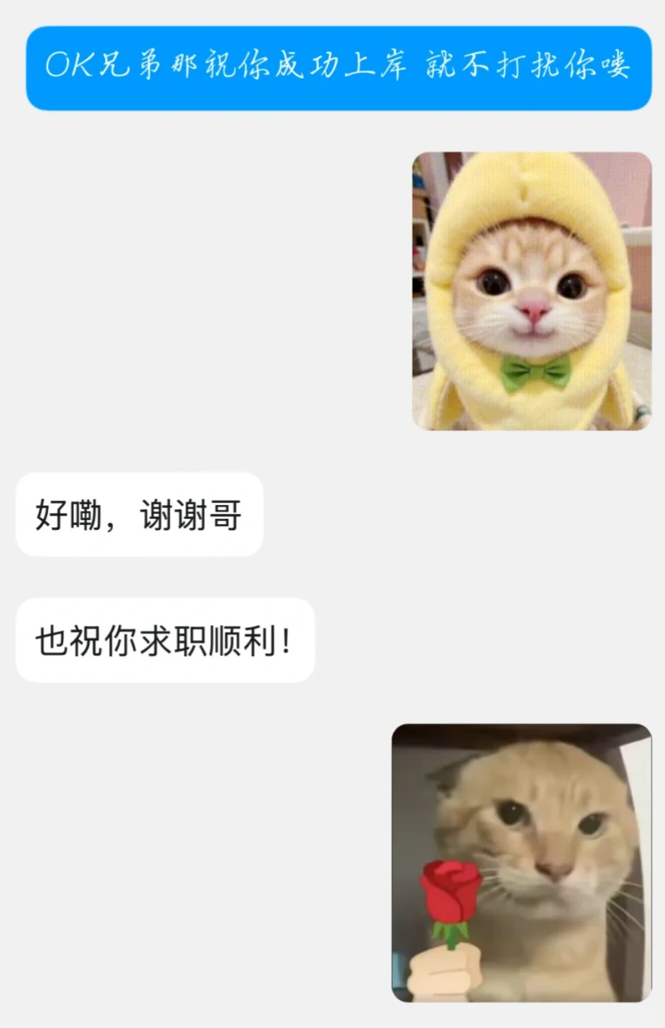 小红书图片 3