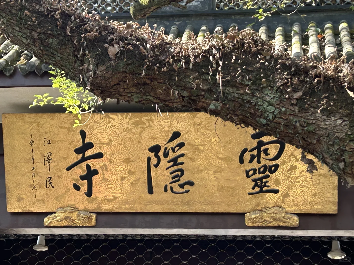 小红书图片 8